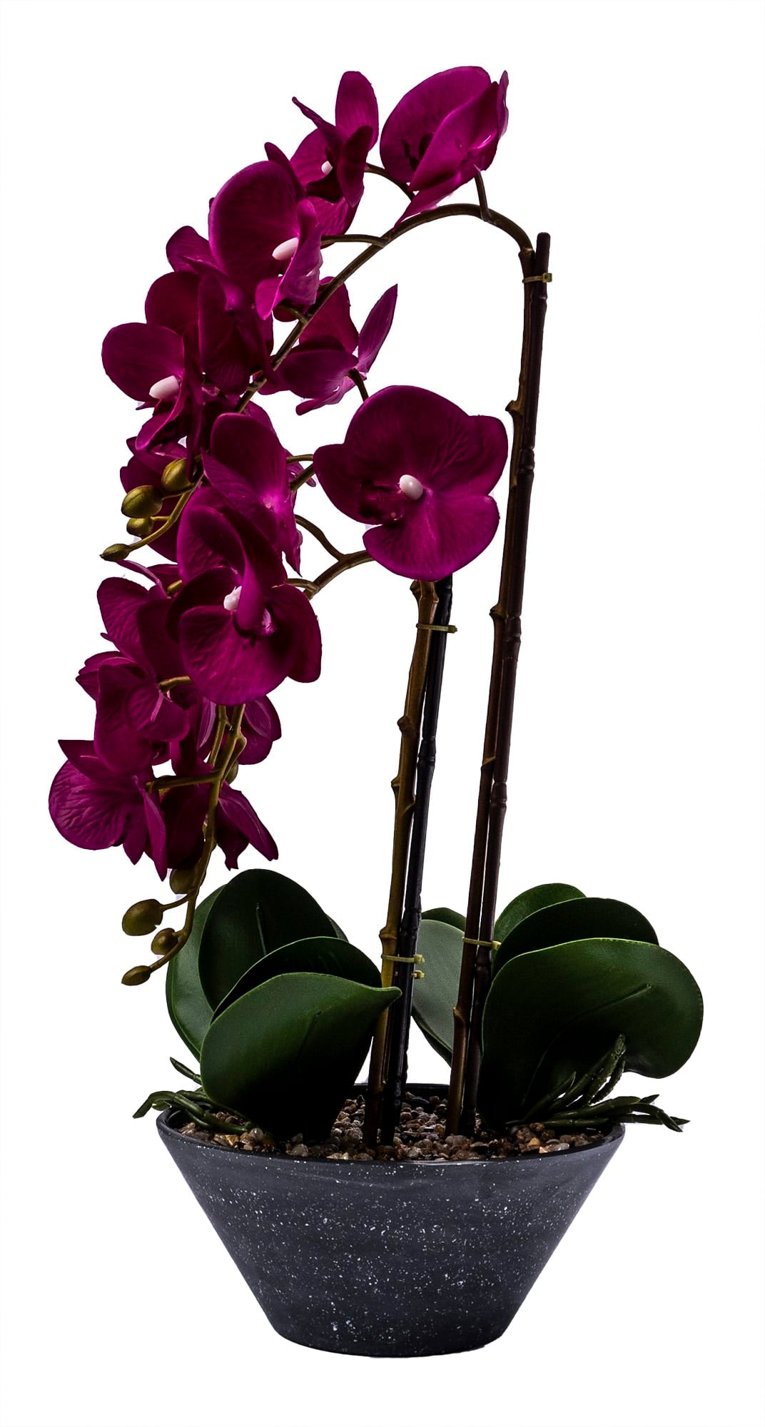 Orhidee 3 fire cu aspect natural in ghiveci ceramic gri, H 50 cm