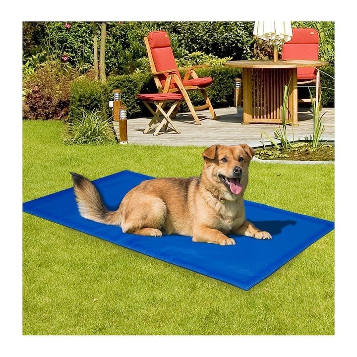 Covoras racoritor pentru caini si pisici, dimensiuni 40X50 cm, din poliester, pliabil, impermeabil, usor de curatat, albastru