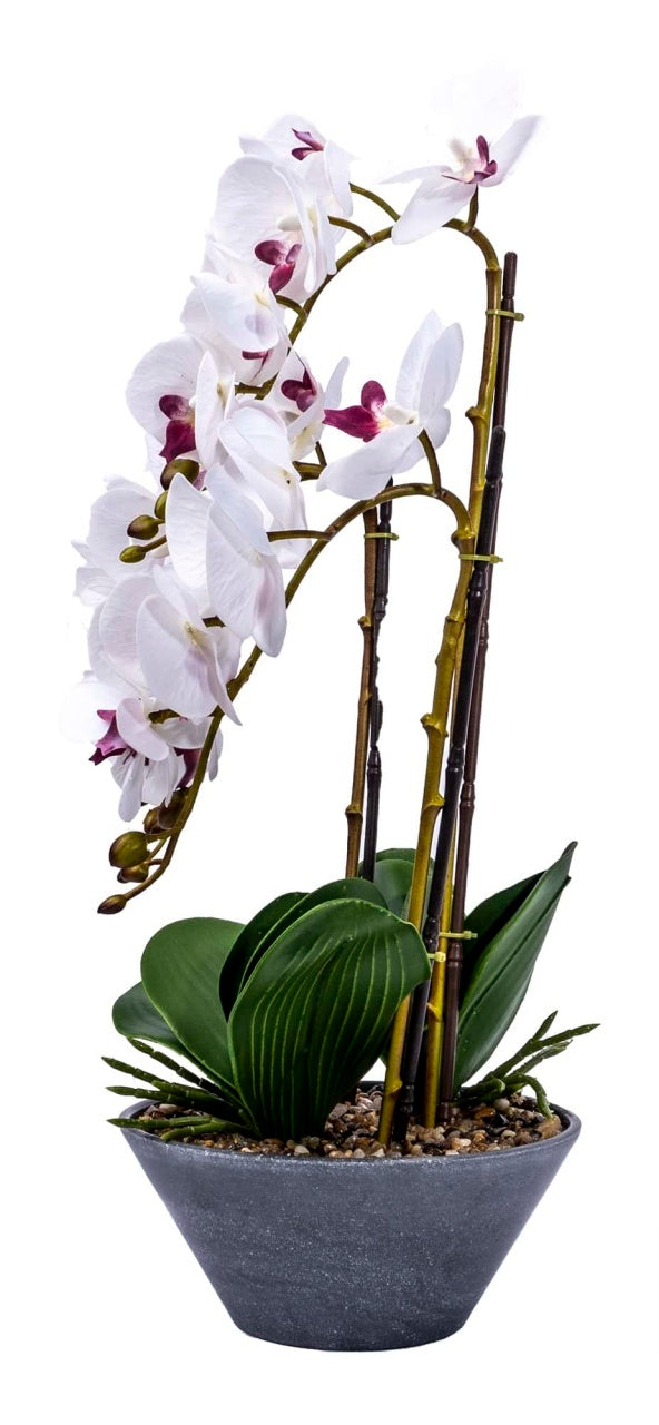 Orhidee 3 fire cu aspect natural in ghiveci ceramic gri, inaltime 50 cm
