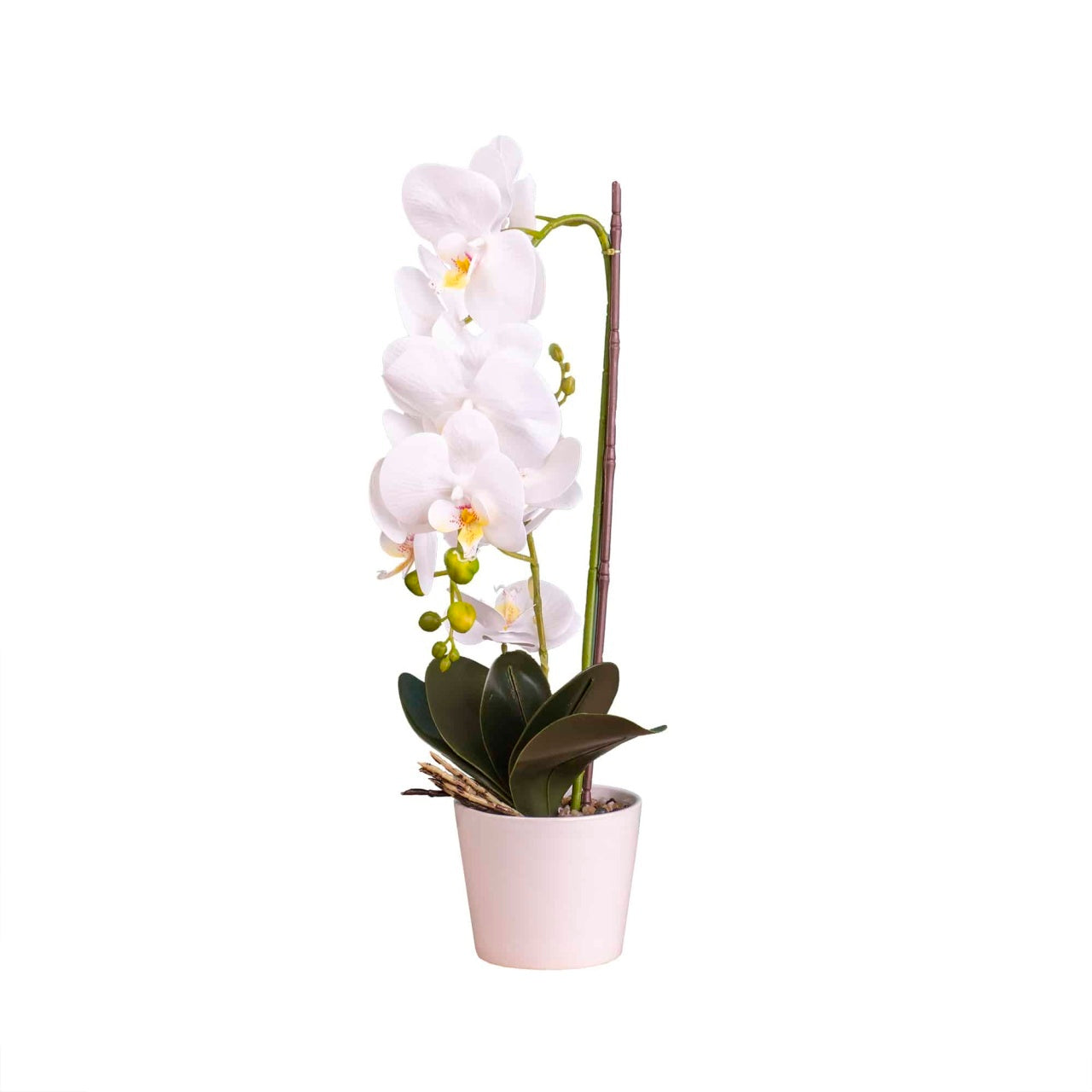 Orhidee artificiala in ghiveci ceramic alb, inaltime 47 cm, aspect natural