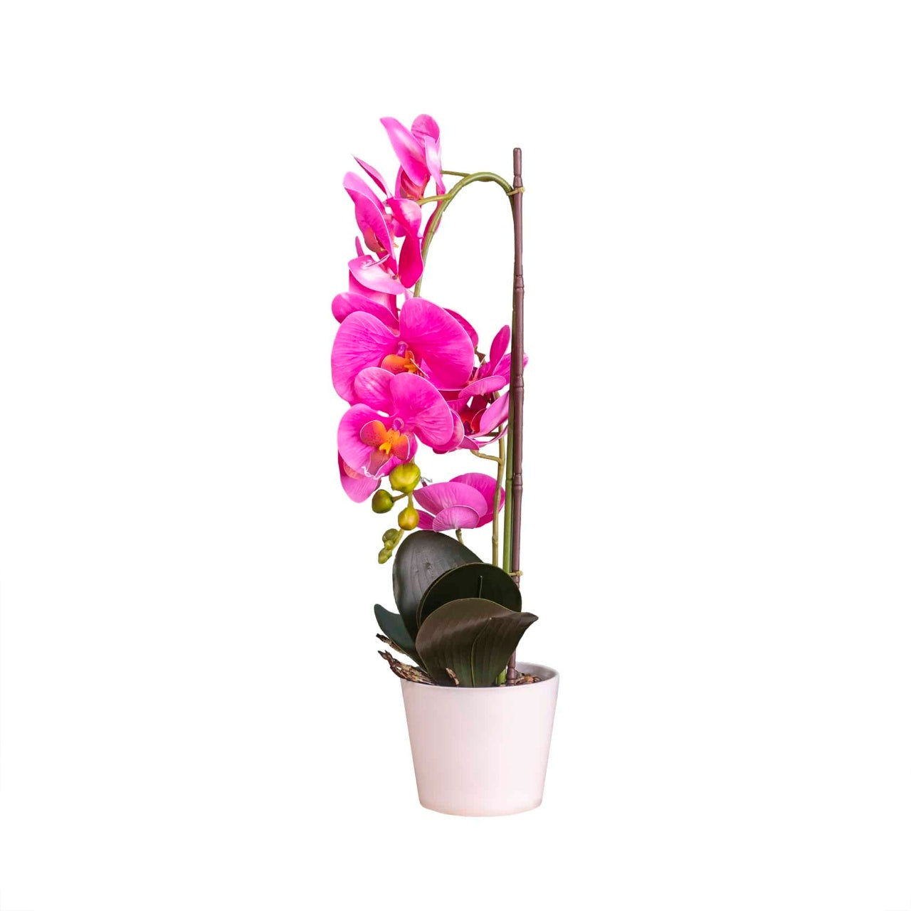 Orhidee artificiala naturala in ghiveci ceramic alb, inaltime 47 cm