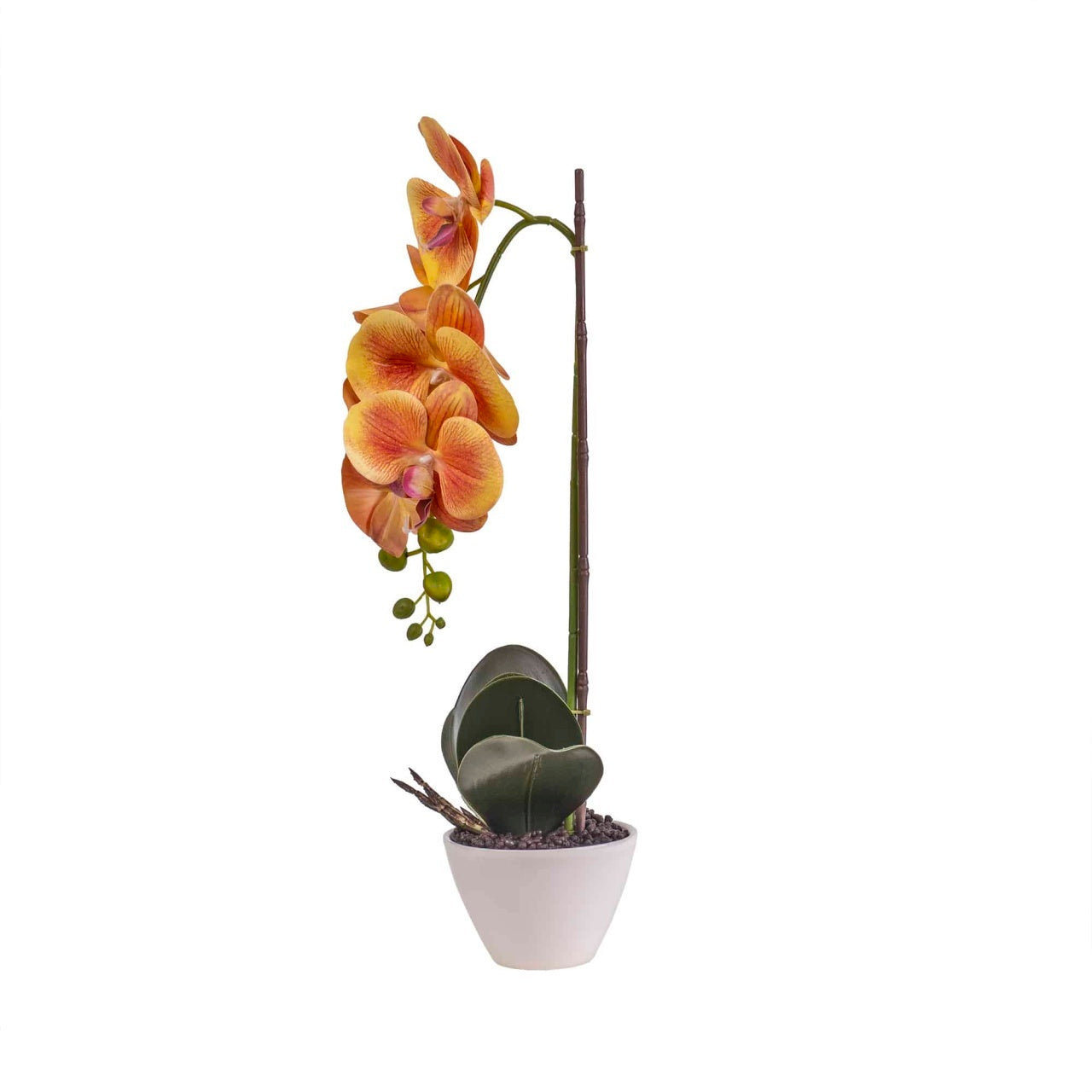 Orhidee cu aspect natural in ghiveci ceramic alb, inaltime 47 cm