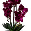 Orhidee 3 fire cu aspect natural in ghiveci ceramic gri, H 50 cm