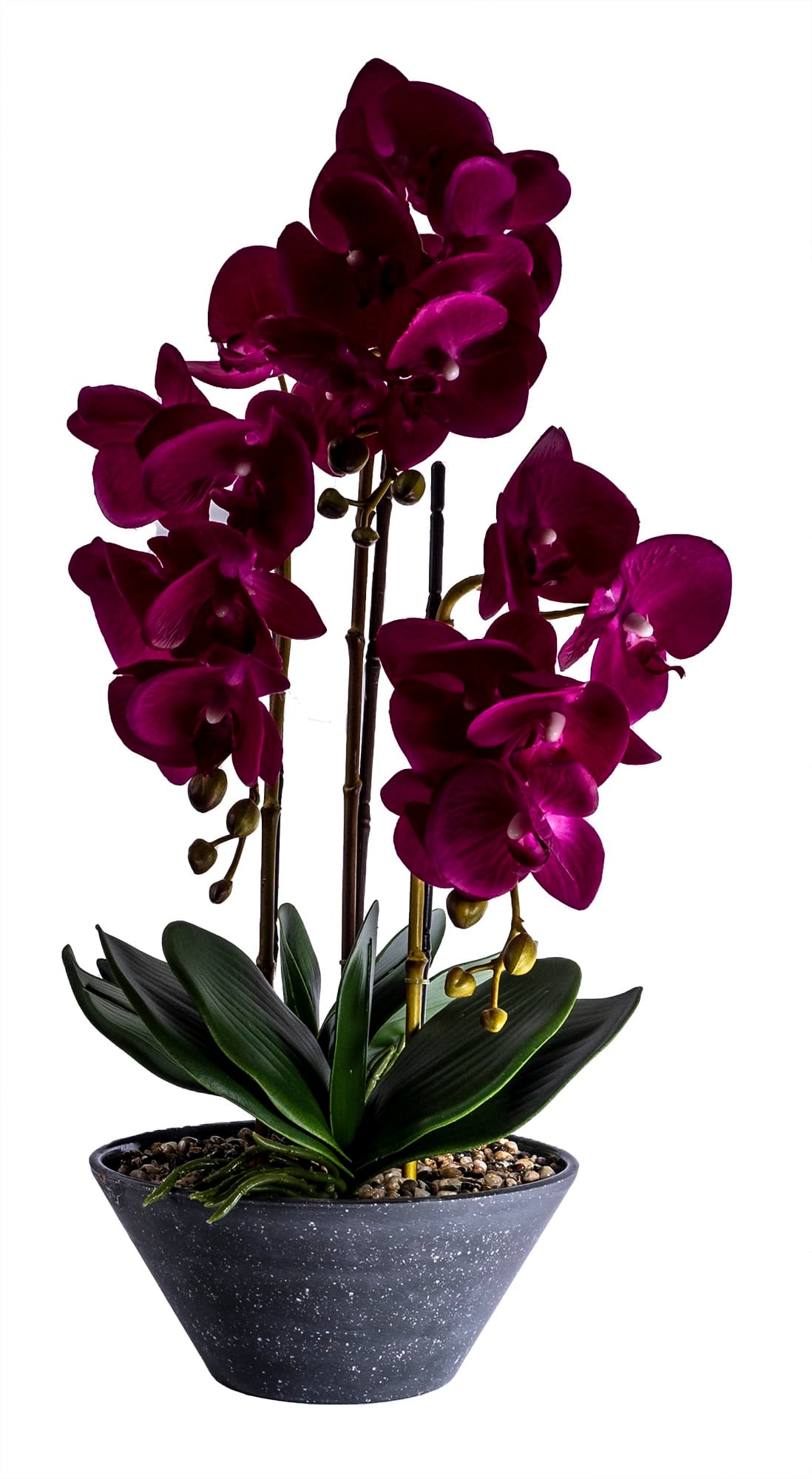 Orhidee 3 fire cu aspect natural in ghiveci ceramic gri, H 50 cm