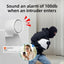 Alarma fara fir, control vocal, Wifi GSM 4G, memento prin SMS, notificare pe telefon, afisaj de 2.4 inchi, alb