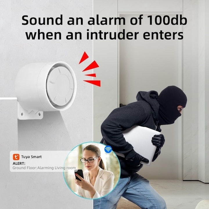 Alarma fara fir, control vocal, Wifi GSM 4G, memento prin SMS, notificare pe telefon, afisaj de 2.4 inchi, alb