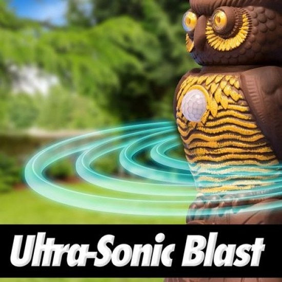 Aparat antidaunatori Ultra Sonic si senzori de miscare FOXMAG24®