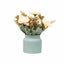 Aranjament floral crizantema in ghiveci ceramica alb, H 20 cm