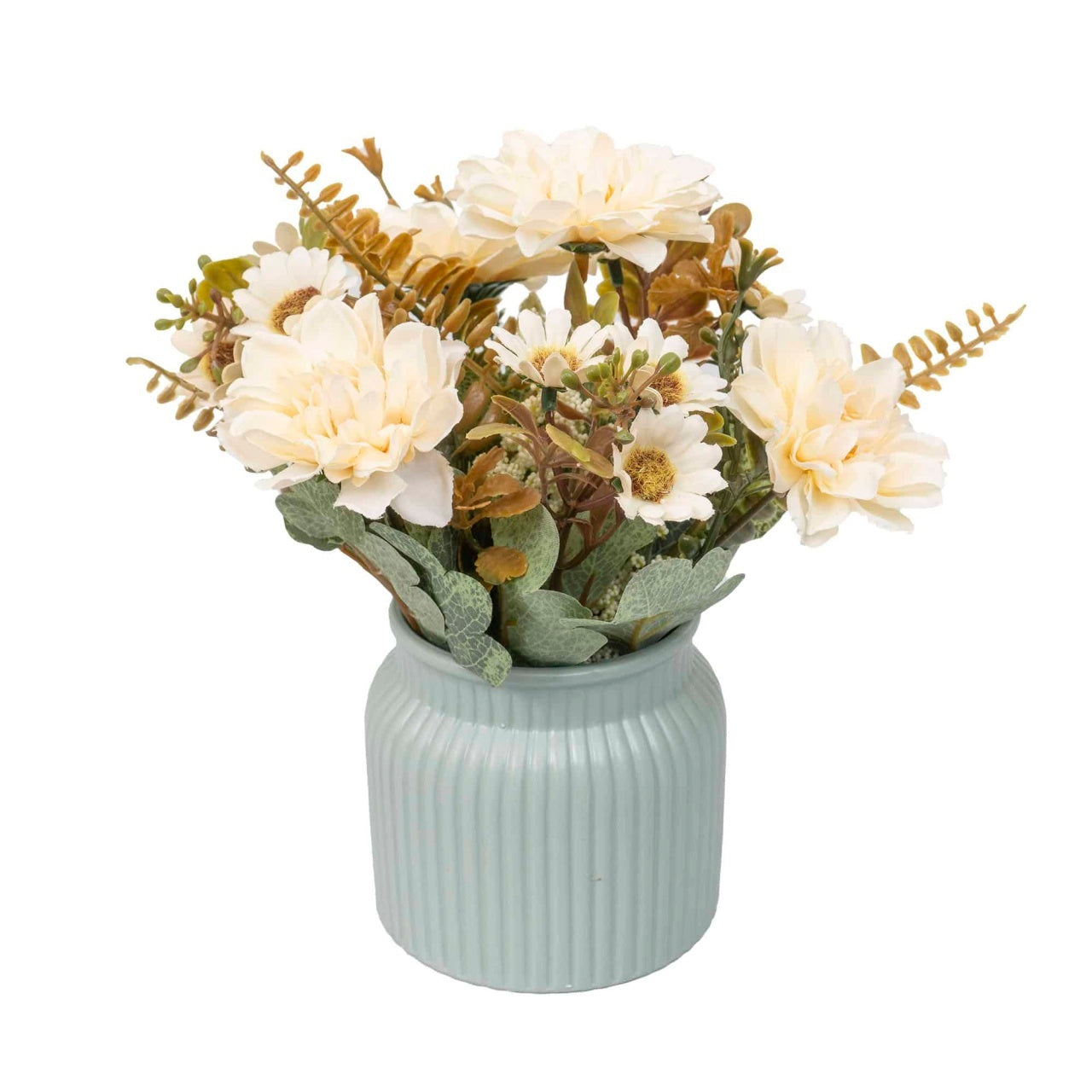 Aranjament floral crizantema in ghiveci ceramica alb, H 20 cm
