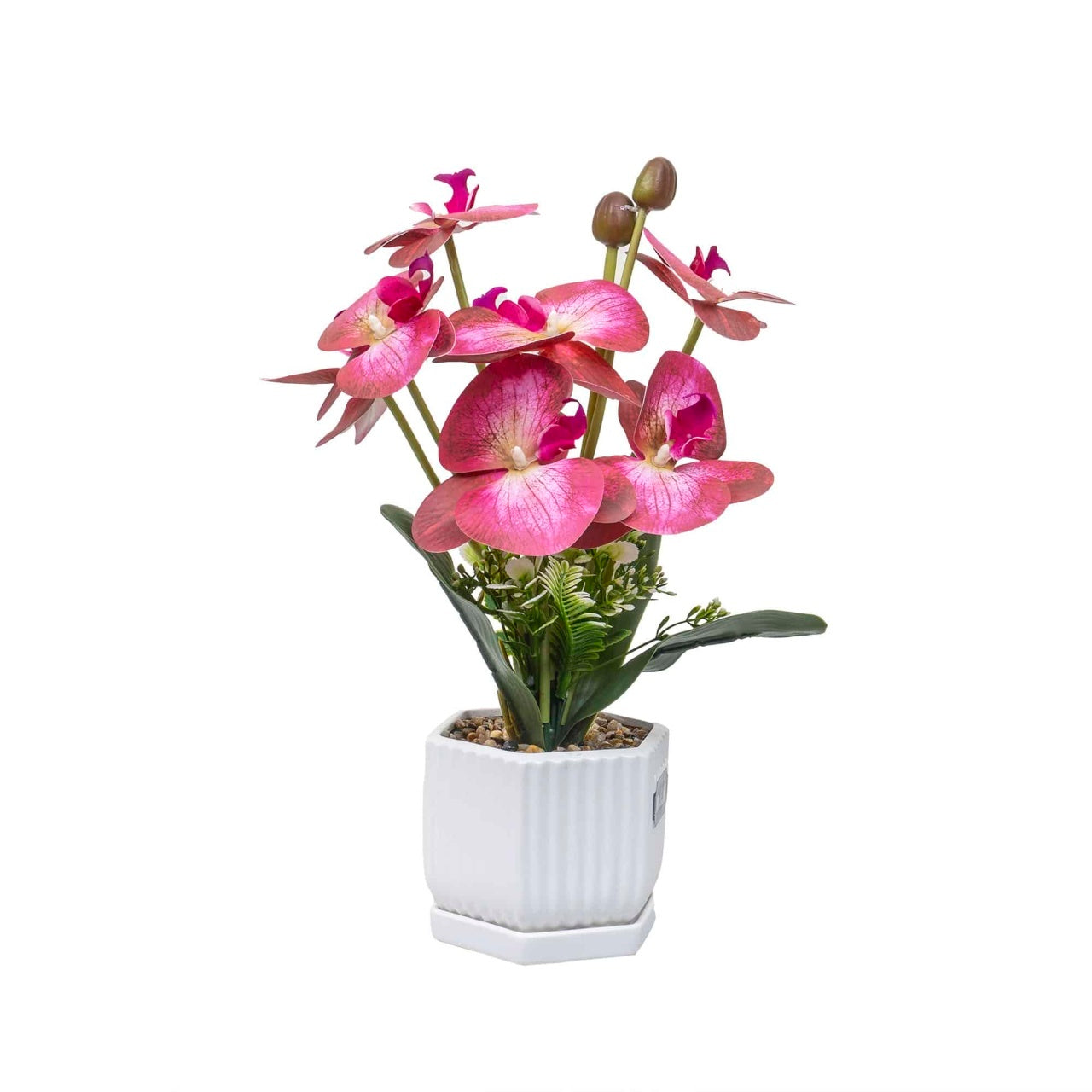 Aranjament floral in ghiveci ceramic cu orhidee, inaltime 37 cm, multicolor