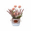 Aranjament floral in ghiveci ceramica, crizantema si lavanda, H27 cm, culoare somon