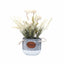 Aranjament floral in ghiveci ceramica cu crizantema si lavanda, H27 cm, alb