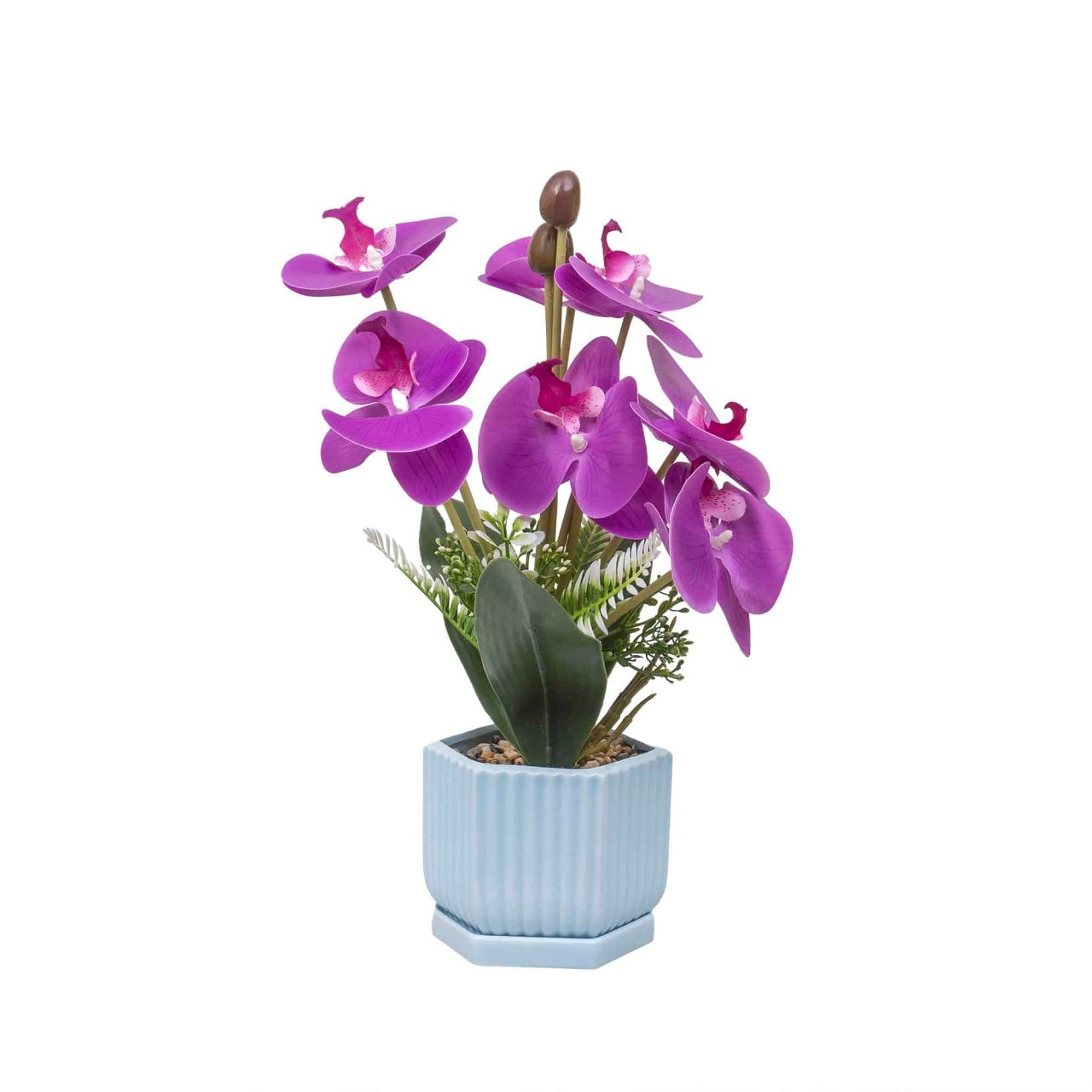 Aranjament floral orhidee in ghiveci ceramic, 37 cm, culoare fucsia