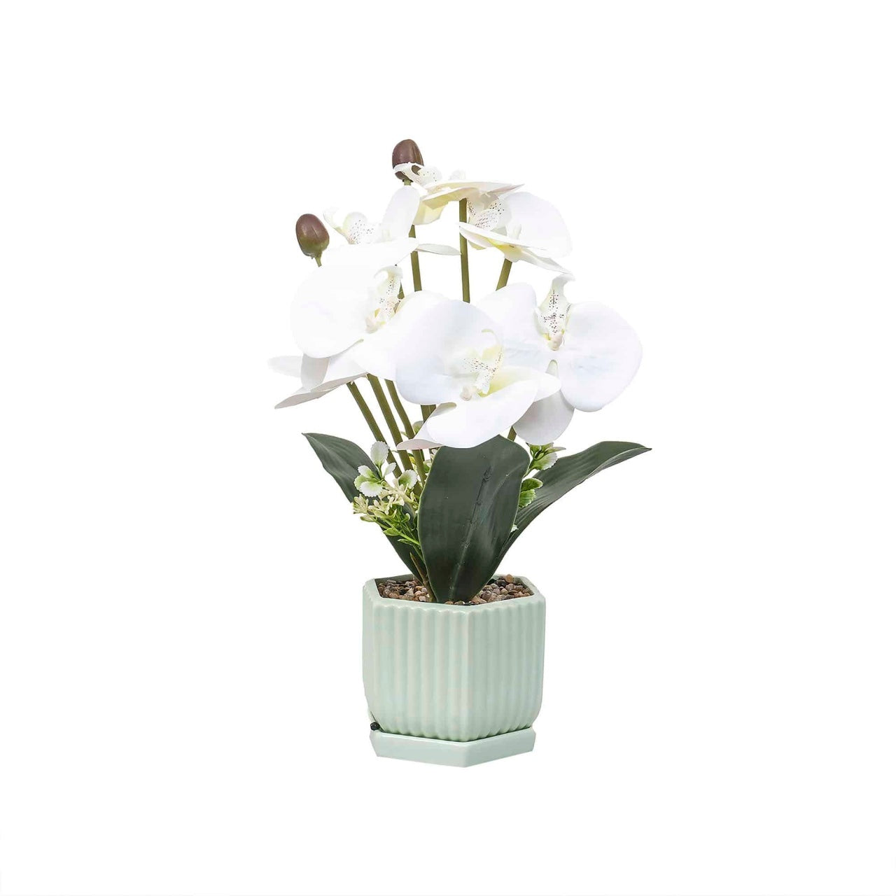 Aranjament floral orhidee in ghiveci ceramica, alb, inaltime 37 cm