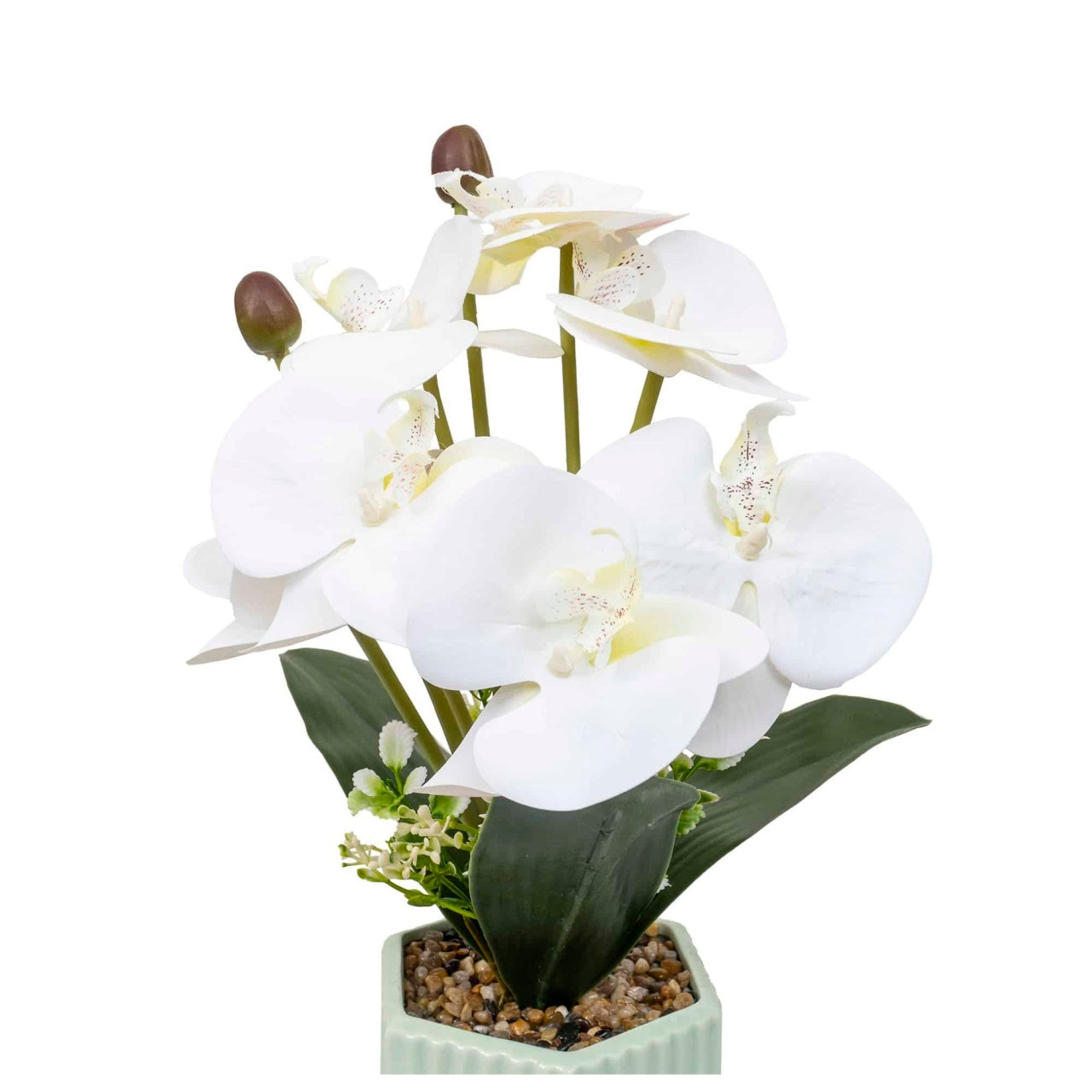 Aranjament floral orhidee in ghiveci ceramica, alb, inaltime 37 cm