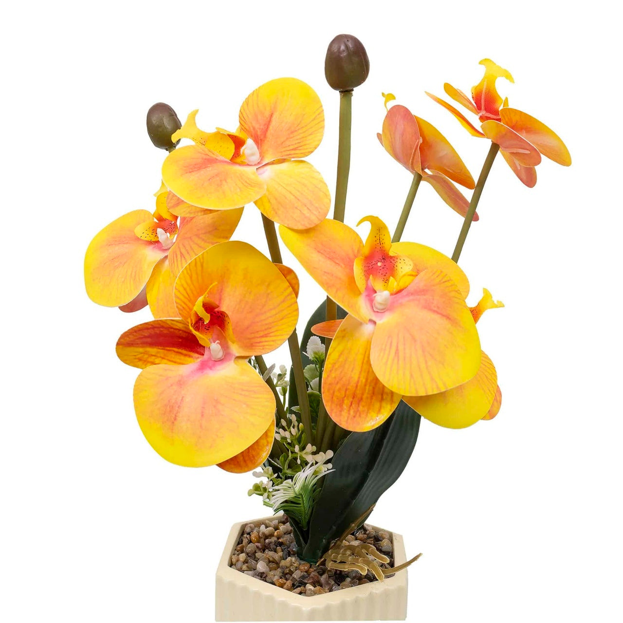 Aranjament floral orhidee in ghiveci ceramica, inaltime 37 cm, portocaliu