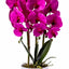 Aranjament orhidee 3 fire cu aspect natural in ghiveci ceramic alb, 70 cm