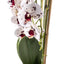 Aranjament orhidee 3 fire cu aspect natural in ghiveci ceramic alb, 70 cm
