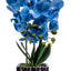 Aranjament orhidee 3 fire cu aspect natural in ghiveci ceramic argintiu, H 50 cm