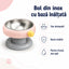 Bol din Inox pentru Pisici și Câini, Bază Înălțată, Roz/Gri – imagine 3