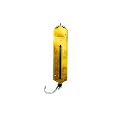 Cantar de mana metalic, capacitate 50kg, lungime 31cm