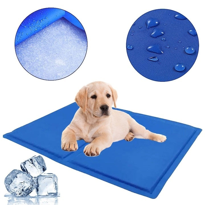 Covoras racoritor pentru caini si pisici, dimensiuni 40X50 cm, din poliester, pliabil, impermeabil, usor de curatat, albastru