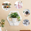 Etajera de perete, hexagon, dimensiuni 29 cm x 27 cm, cu polita de depozitare, din PVC, usor de asamblat, alb