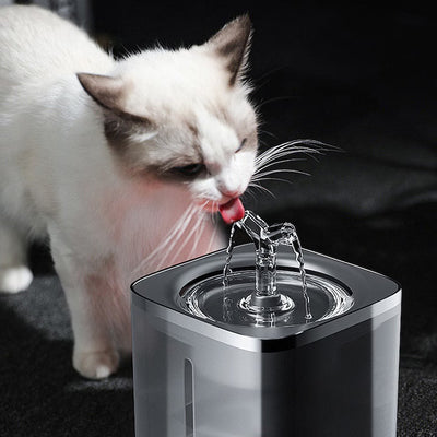 Fantana de apa pentru pisici si caini, dozator automat de apa, 2L, ultra-silentios 10 dB, Negru