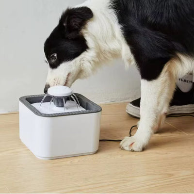 Fantana de apa ultra-silentioasa pentru animale, capacitate 2.5L, reincarcabila USB, cu filtru carbune