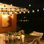 Ghirlandă luminoasă decorativă, filament LED, 30 becuri, 30 m, alb foarte cald – imagine 4
