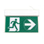 Lampa LED EXIT 3W cu conectori inclusi, dimensiuni 32.5x22 cm