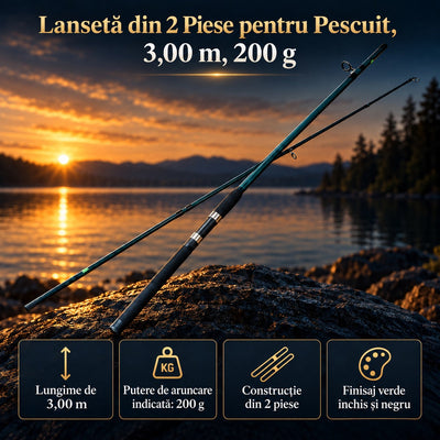Lansetă din 2 Piese pentru Pescuit, 3,00 m, 200 g – imagine principală promoțională