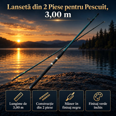 Lansetă din 2 Piese pentru Pescuit, 3,00 m – imagine principală promoțională