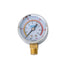 Manometru pentru verificarea presiunii 10 bar, diametru 52mm