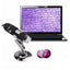 Microscop Digital USB Pentru PC, Electronic 1600X, Negru