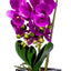 Orhidee 3 fire cu aspect natural in ghiveci argintiu, inaltime 50 cm