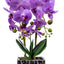Orhidee 3 fire cu aspect natural in ghiveci auriu, 50 cm inaltime