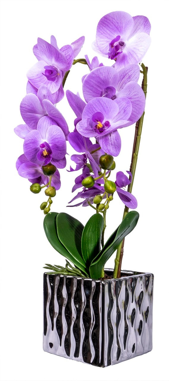 Orhidee 3 fire cu aspect natural in ghiveci auriu, 50 cm inaltime