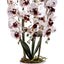Orhidee 3 fire cu aspect natural in ghiveci ceramic alb, 70 cm inaltime