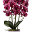 Orhidee 3 fire cu aspect natural in ghiveci ceramic alb, H 70 cm