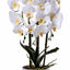 Orhidee 3 fire cu aspect natural in ghiveci ceramic alb, H 70 cm
