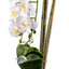 Orhidee 3 fire cu aspect natural in ghiveci ceramic alb, H 70 cm