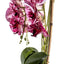 Orhidee 3 fire cu aspect natural in ghiveci ceramic alb, H 70 cm