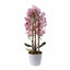 Orhidee 3 fire cu aspect natural in ghiveci ceramic alb, inaltime 70 cm