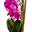 Orhidee 3 fire cu aspect natural in ghiveci ceramic alb, inaltime 70 cm