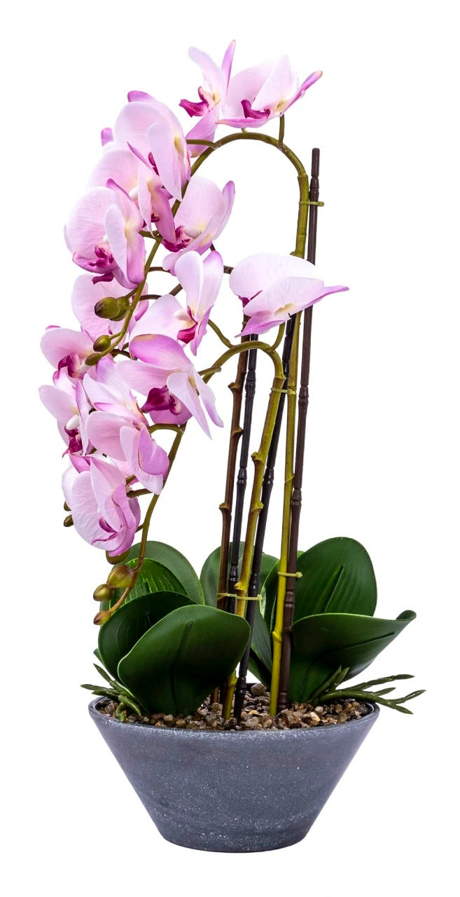 Orhidee 3 fire cu aspect natural in ghiveci ceramic gri, 50 cm inaltime