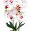 Orhidee 3 fire cu aspect natural in ghiveci oval ceramica alb, 50 cm