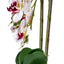 Orhidee 3 fire cu aspect natural in ghiveci oval ceramica alb, 50 cm