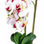 Orhidee 3 fire cu aspect natural in ghiveci oval ceramica alb, 50 cm