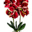 Orhidee 3 fire cu aspect natural in ghiveci oval ceramica alb, H 50 cm